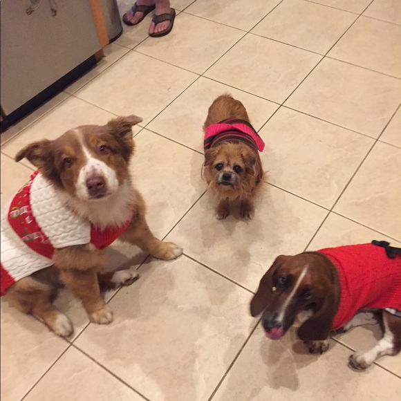 Meet your Posher, Leigh ann - Picture 1 of 1